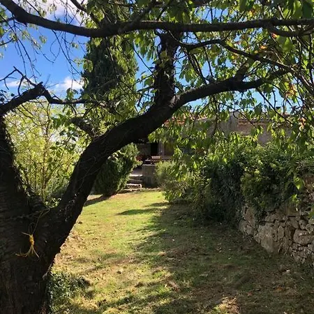 La Bergerie En Cévennes Casa vacanze Mialet (Gard)