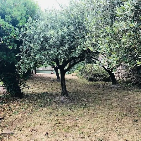 Casa vacanze La Bergerie En Cévennes *