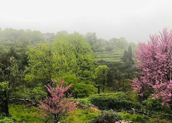 La Bergerie En Cevennes Σπίτι διακοπών